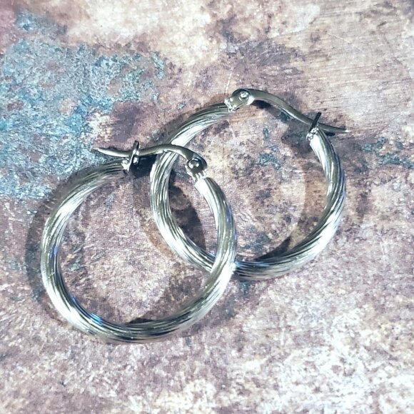 Silver Surgical Stainless Steel Round Subtle Twist 25mm Minimalist Hoop Earrings - Picture 5 of 10